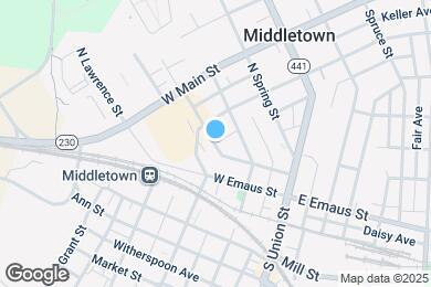 Map image of the property - 201 Nissley St
