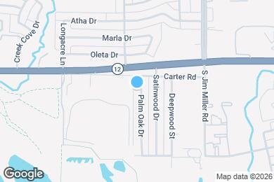 Map image of the property - 119 Palm Oak Dr