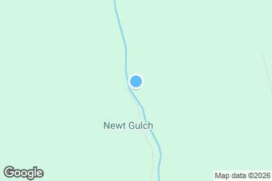Map image of the property - 331 Newt Gulch Rd