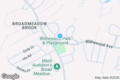 Map image of the property - 19 Blithewood Ave