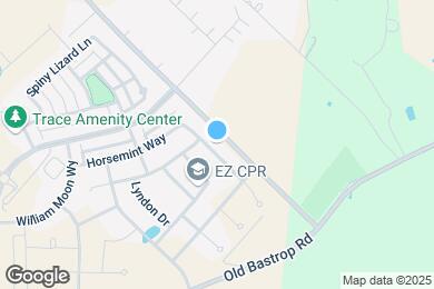 Map image of the property - 317 Horsemint Way