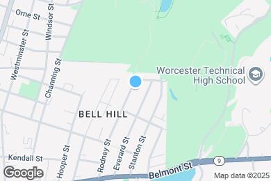 Map image of the property - 119 Rodney St